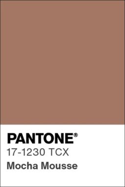 Pantone 2025 pantone-color-chip-17-1230-tcx